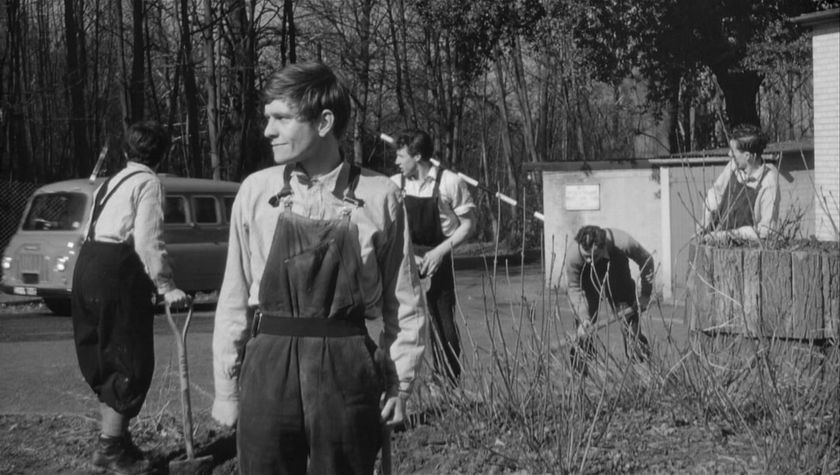 1957 Morris J2 Minibus