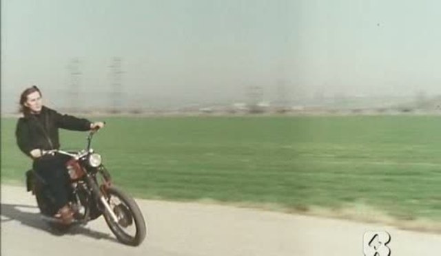 Ducati Scrambler