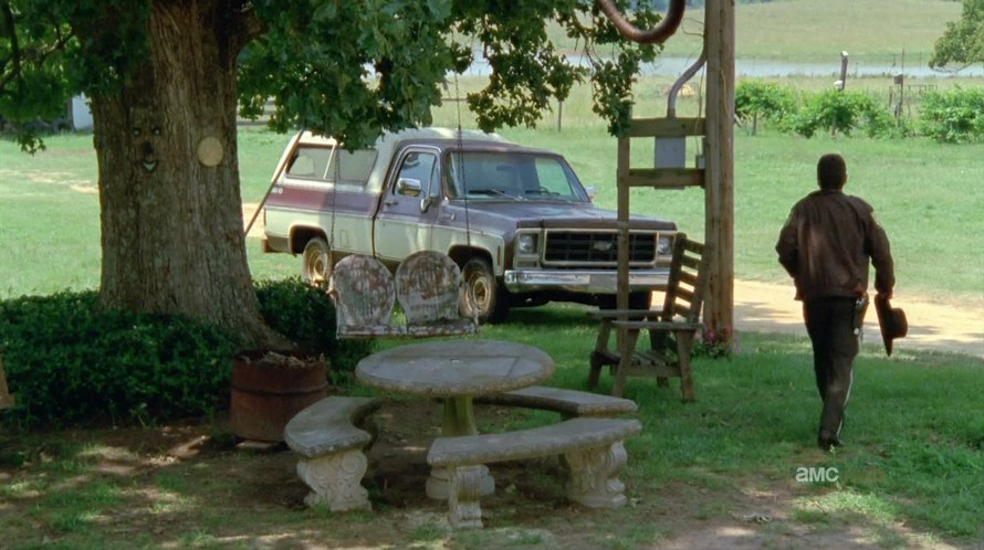 1979 Chevrolet C-10 Scottsdale Fleetside