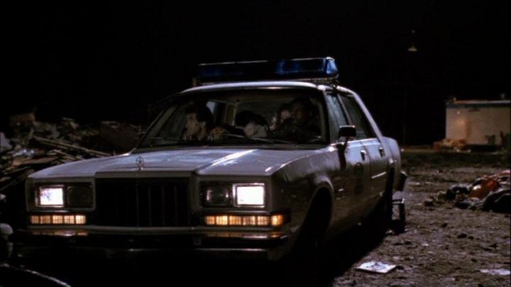Dodge diplomat 1981