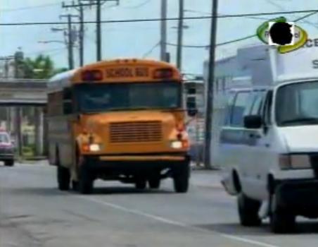 1990 International 3000-Series Blue Bird Conventional