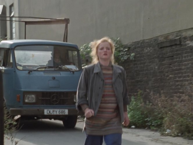 1973 Mercedes-Benz [L70]