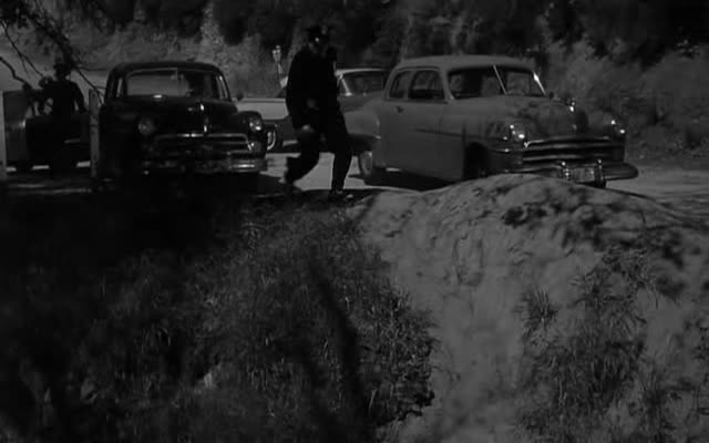 1950 Dodge Wayfarer [D-33]