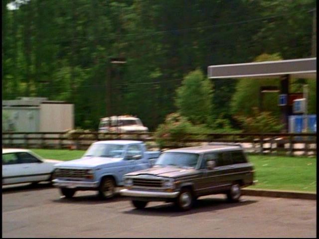 1982 Ford F-Series Regular Cab