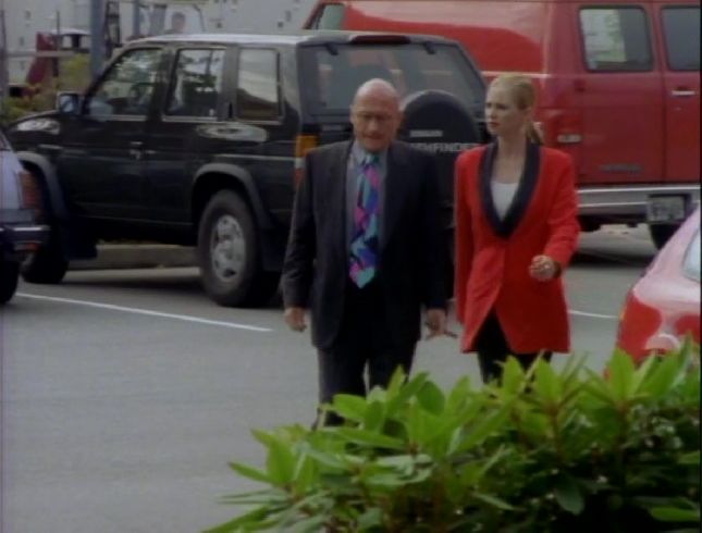 1993 Nissan Pathfinder SE-V6 [WD21]