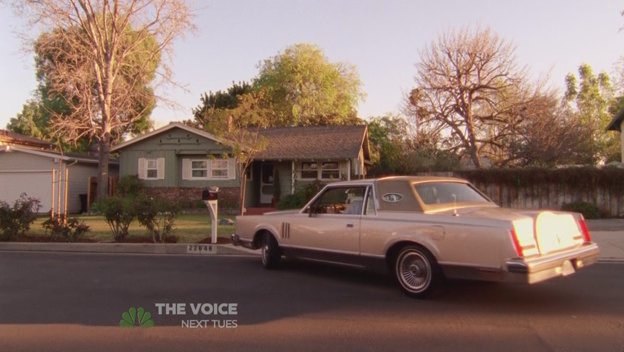 1982 Lincoln Continental Mark VI [66D]