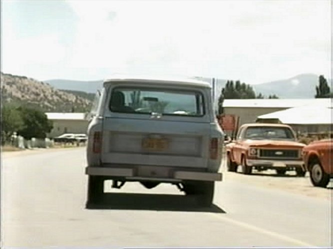 1973 Chevrolet C-Series Stepside