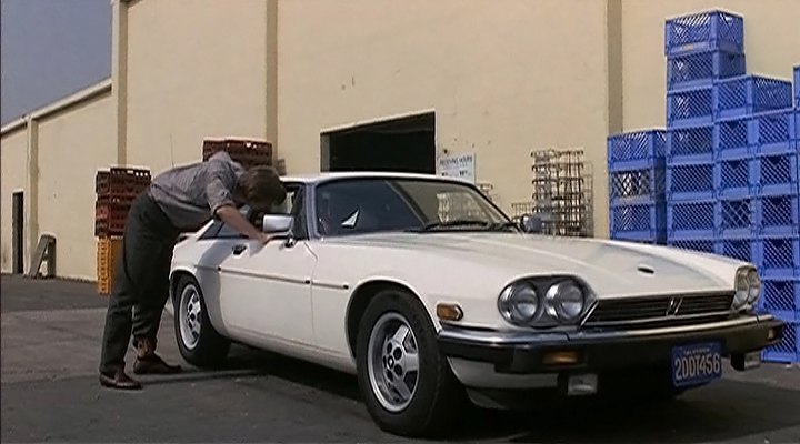 1982 Jaguar XJ-S 5.3 V12 H.E. [XJ27]