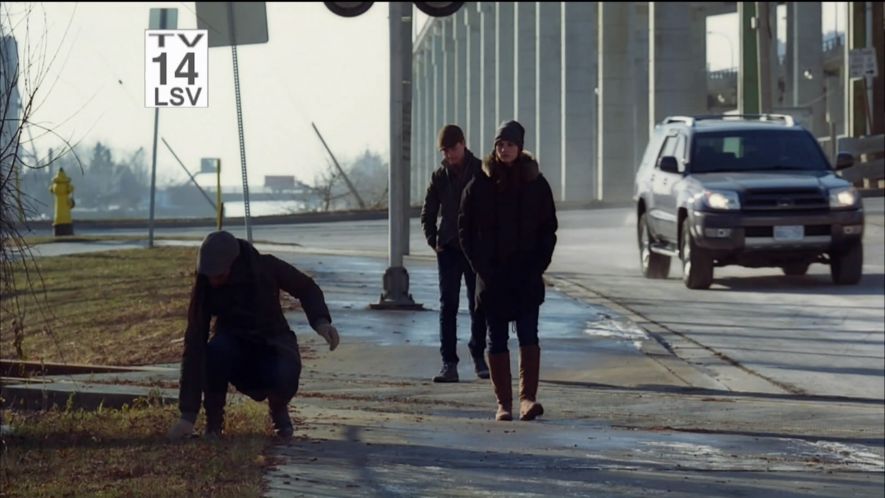 2003 Toyota 4Runner [N210]
