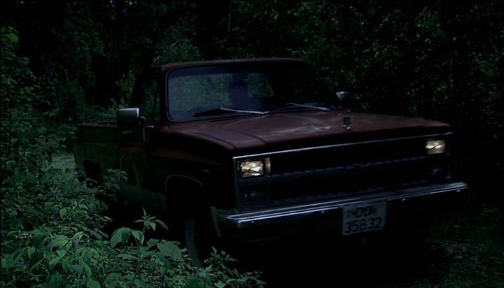 1981 Chevrolet C-10 Silverado Fleetside