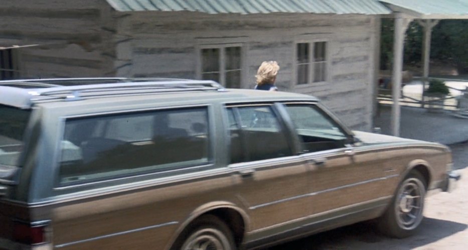 1980 Buick Electra Estate Wagon