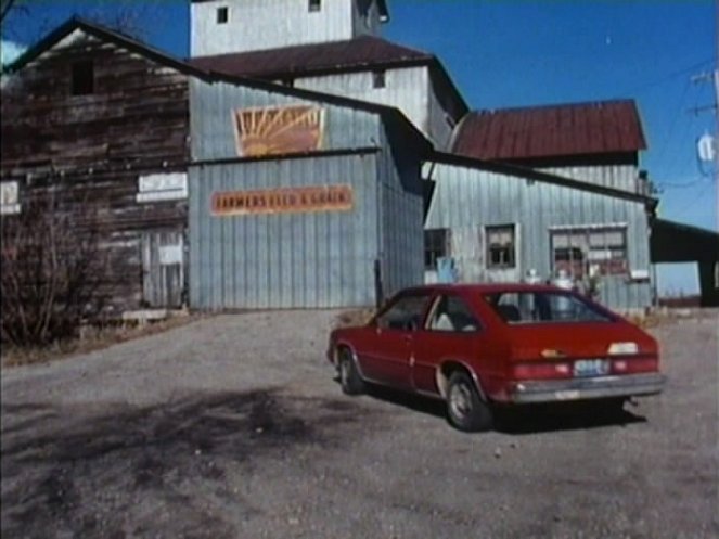 1981 Chevrolet Citation