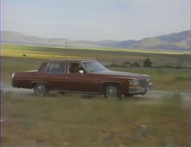 1980 Cadillac Sedan DeVille