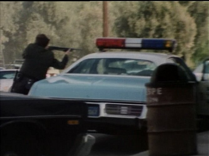 1977 Dodge Monaco