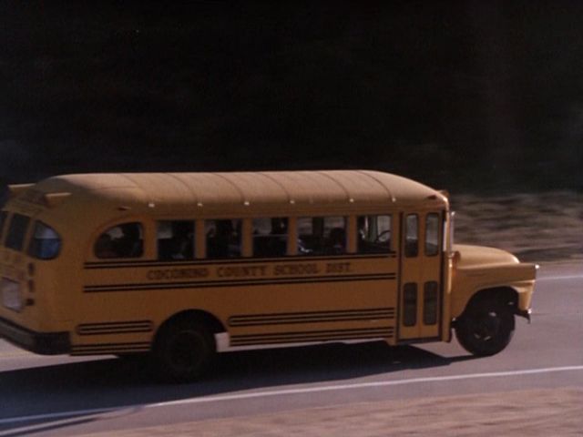 1959 Ford school bus #7