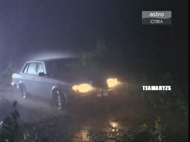 1984 Volvo 240 [244]