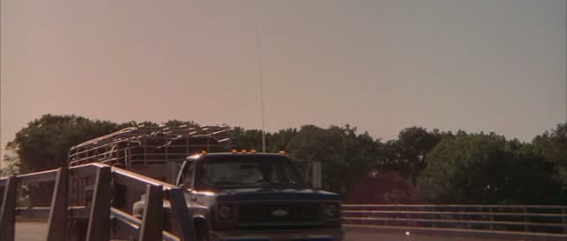 1973 Chevrolet C-30 Fleetside Big Dooley