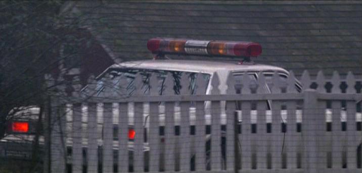 1979 Plymouth Volaré