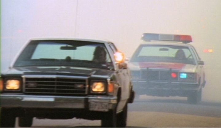 1981 Ford LTD-S [54D]