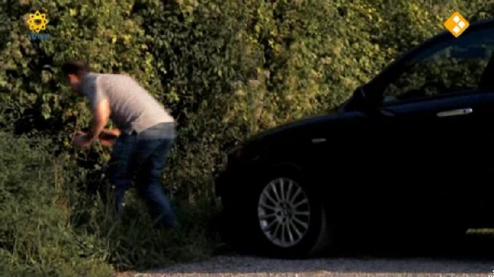 2005 Alfa Romeo 147 [937]