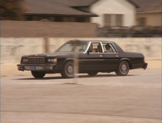 1979 Dodge St. Regis