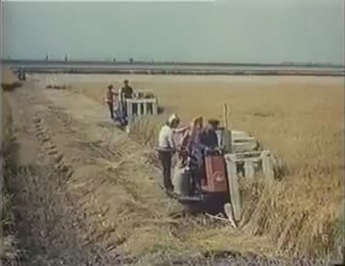 Chongsalli Rice harvester