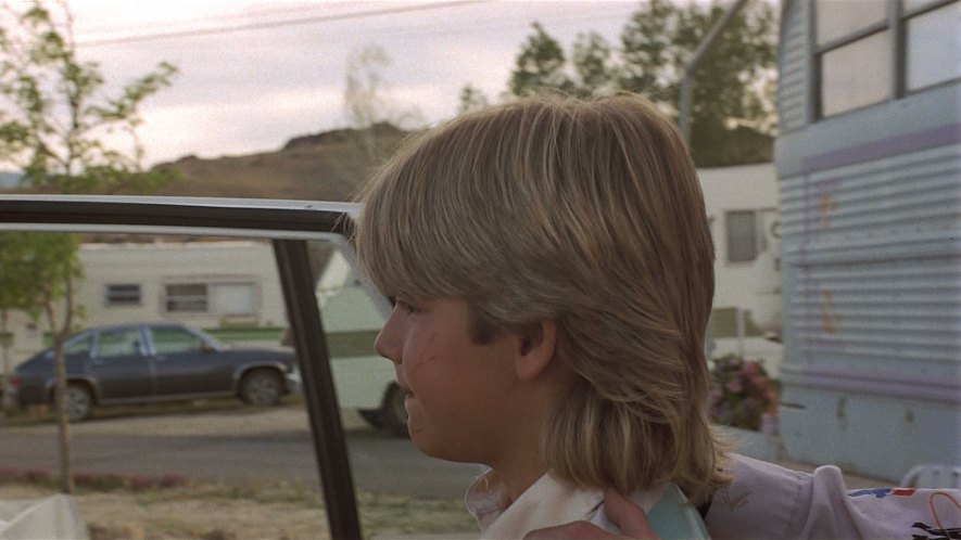 1980 Chevrolet Citation