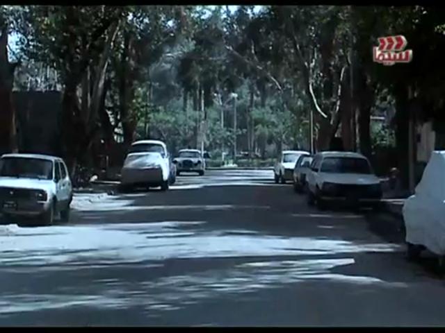 1982 Peugeot 505 Break [551D]