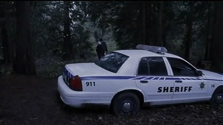 2003 Ford Crown Victoria Police Interceptor [P71]