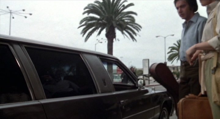 1977 Cadillac Fleetwood Brougham Stretched Limousine Armbruster/Stageway