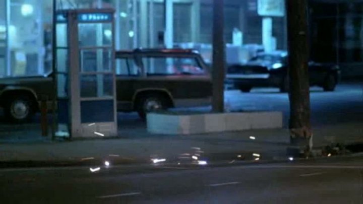 1979 Ford LTD Country Squire