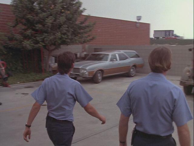 1971 Oldsmobile Vista Cruiser