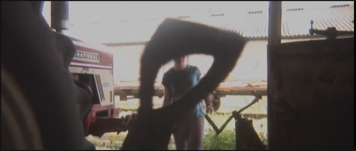 International Harvester 674