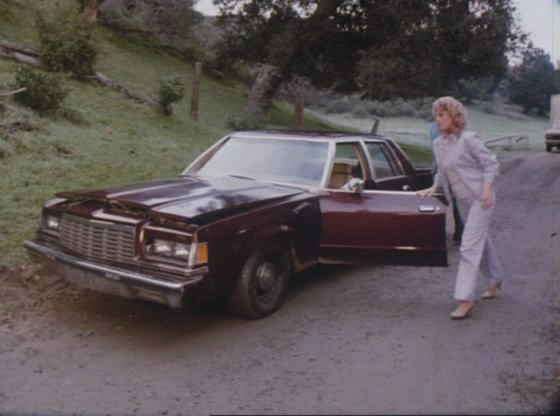1979 Dodge St. Regis