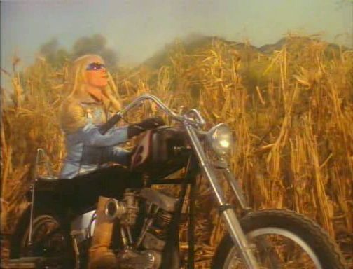 1966 Harley-Davidson FL Electra Glide Chopper