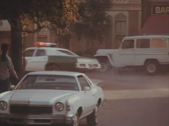 1975 Chevrolet Monte Carlo