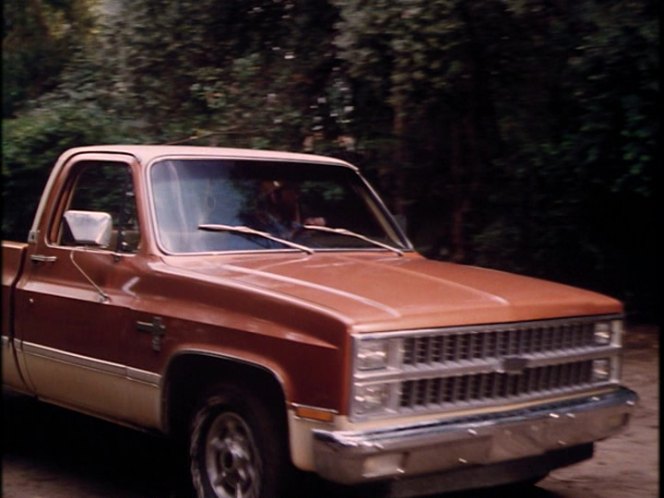 1981 Chevrolet C-10