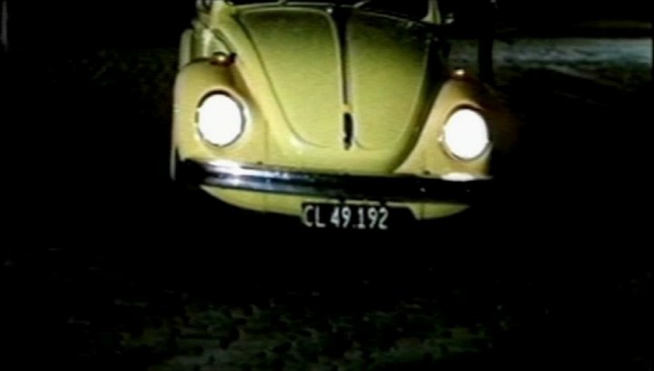 1971 Volkswagen 1302 [Typ 1]