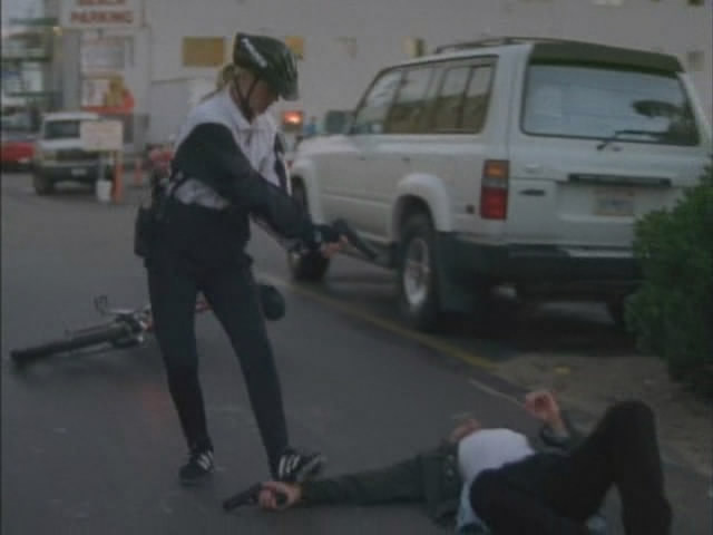 1995 Toyota Land Cruiser [FZJ80]