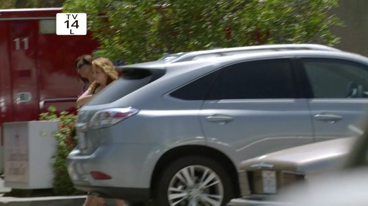 2010 Lexus RX 450h [GLY10]