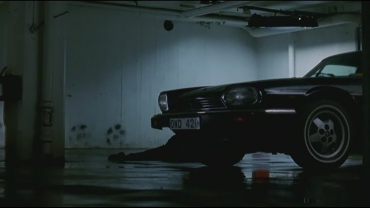 1982 Jaguar XJ-S [XJ27]