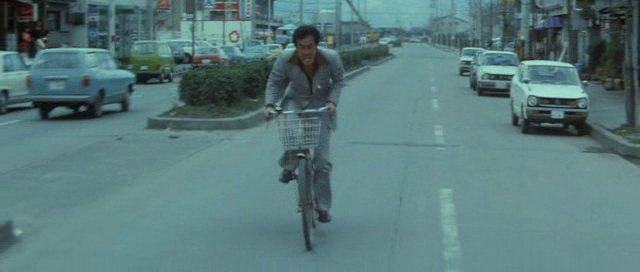 1973 Datsun Sunny Van [VB210]