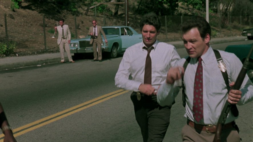 1975 Ford Custom 500