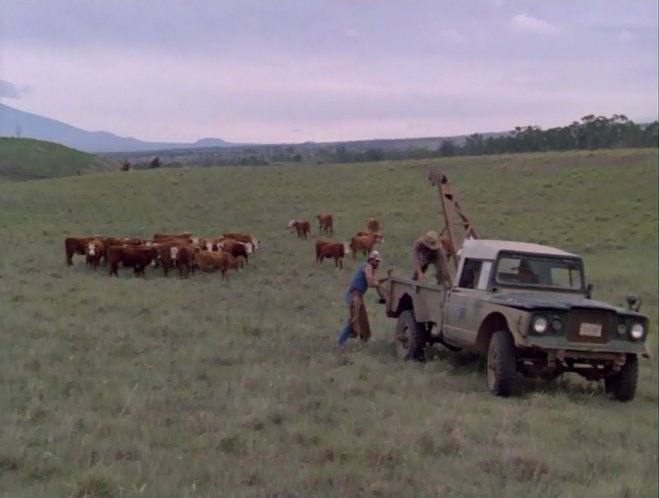 Jeep M-715