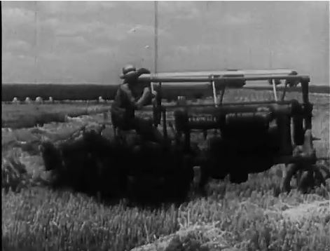 McCormick-Deering Farmall