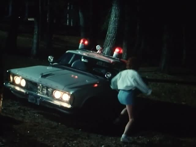 1963 Plymouth Savoy [TP1/2-L]