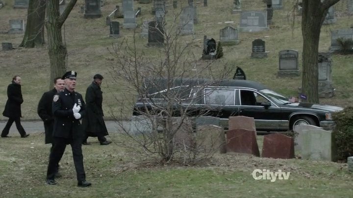 1993 Cadillac Fleetwood Funeral Coach Federal Coach 'Renaissance'