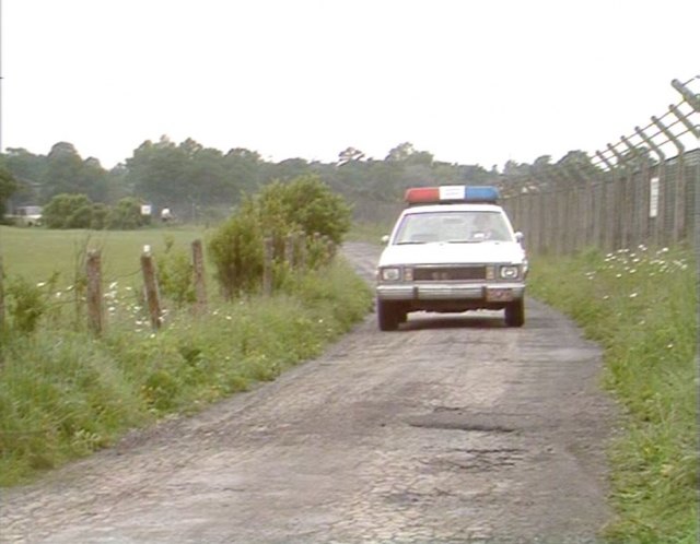 1980 Plymouth Volare