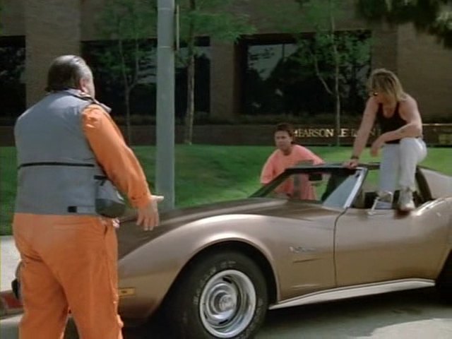 1975 Chevrolet Corvette Stingray C3