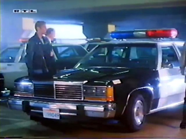 1980 Ford LTD [54H]